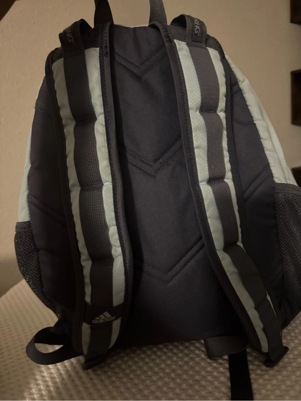 adidas Men's Mint and Black Backpack